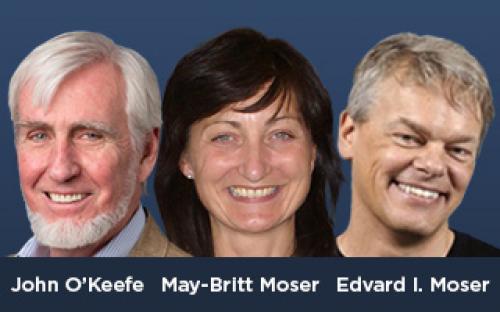 Årets nobelpristagare i medicin eller fysiologi – John O’Keefe och May-Britt och Edvard I. Moser